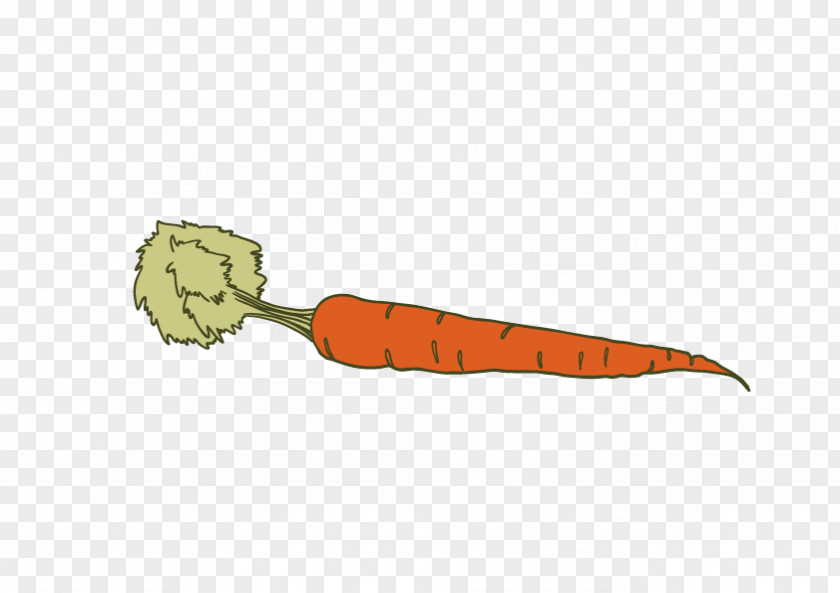Carrot Vegetable Icon PNG