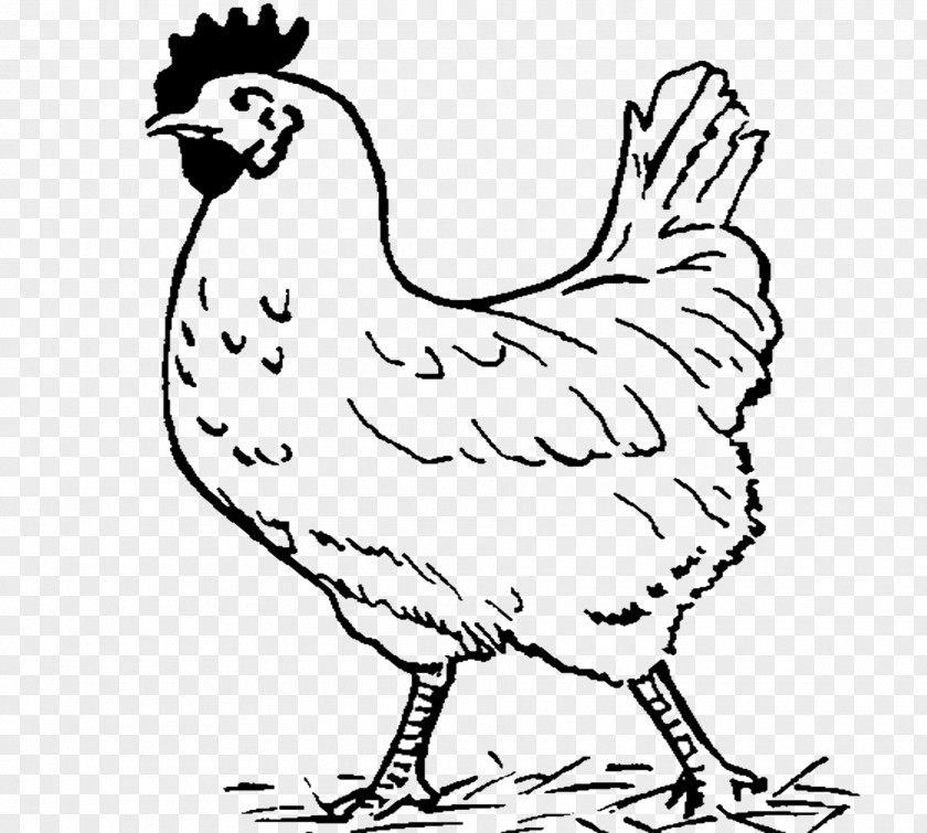 Chicken Black And White Clip Art PNG