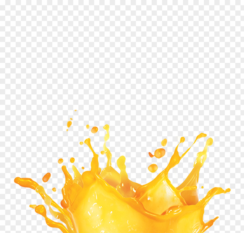 Fruit Juice Orange Lemon Juicer PNG