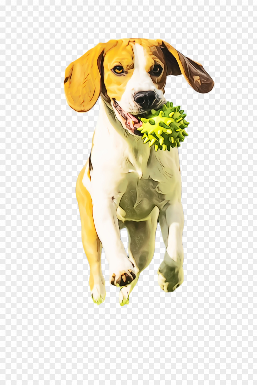 Pointer Hunting Dog Cute PNG