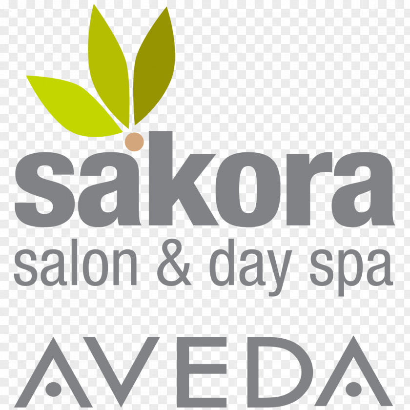 Sakora The Blue School Logo Brand Font Product PNG