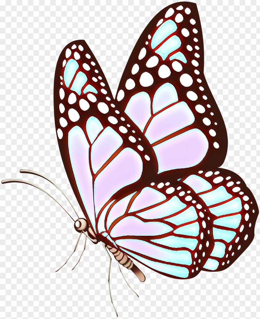 Butterfly Vector Graphics Clip Art Drawing Illustration PNG