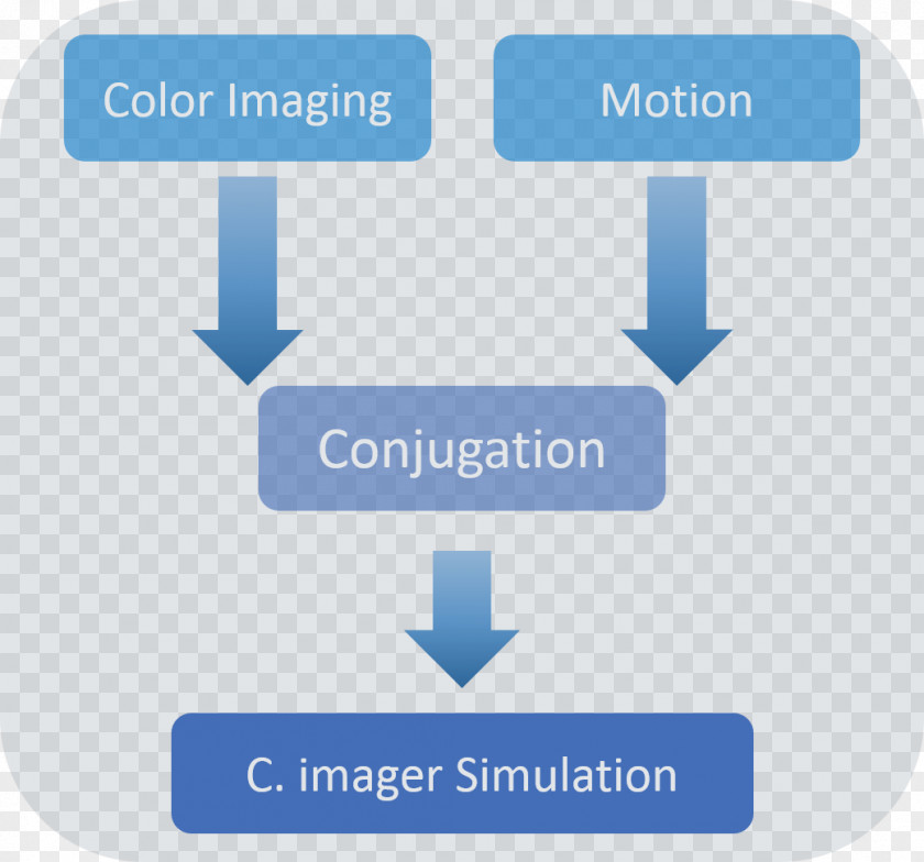 Design Brand Product Organization PNG