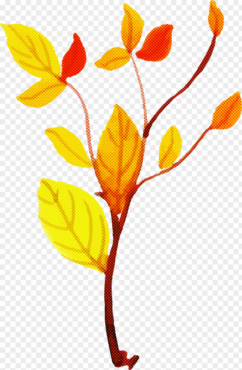 Floral Design PNG