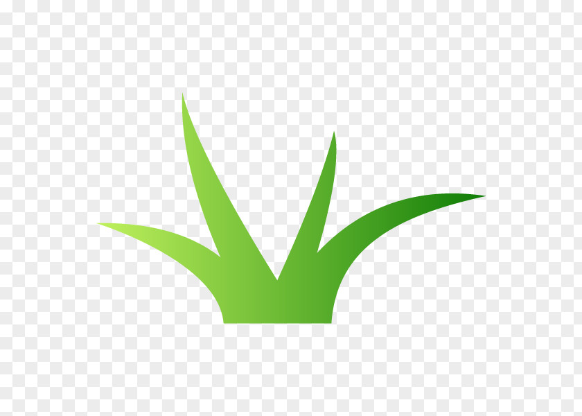 Leaf Logo Font Plant Stem Line PNG