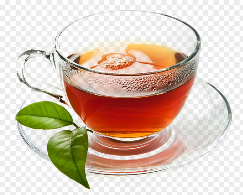 Tea Maghrebi Mint Beer Green Julep PNG