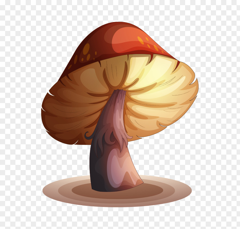 Mushroom,fungus Edible Mushroom Drawing Illustration PNG