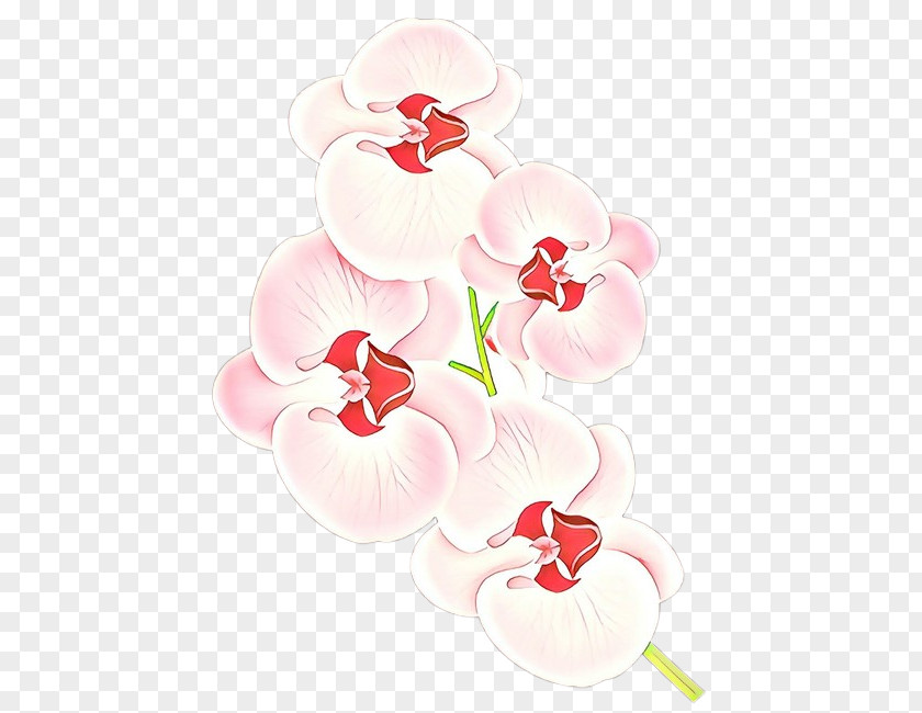 Orchid Moth Flower Pink Plant Petal PNG