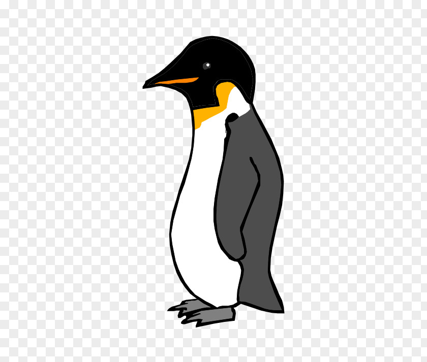 Penguin King Beak White Clip Art PNG