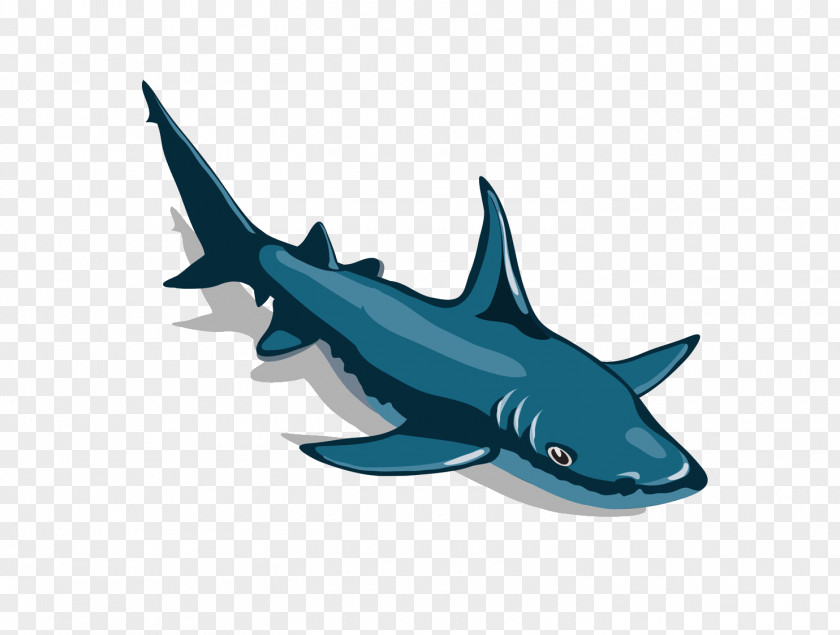 Shark Great White Cartoon Hammerhead PNG