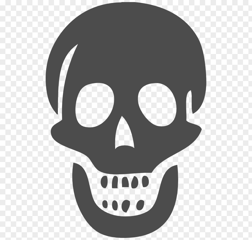 Skull Line Art Skeleton Clip PNG