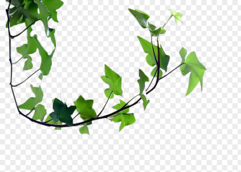 Spring Animaatio Clip Art PNG