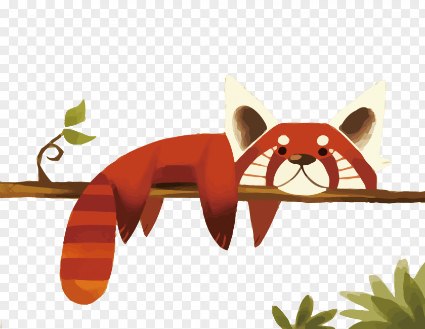 Vector Red Panda Giant Cartoon Drawing Cuteness PNG