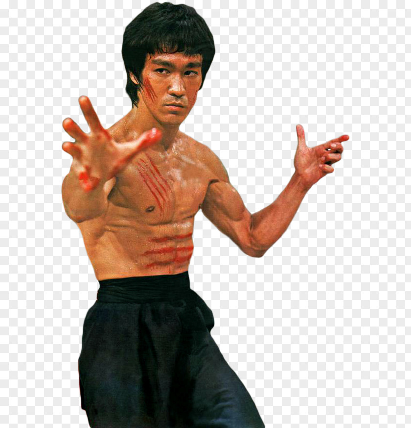 Bruce Lee PNG clipart PNG