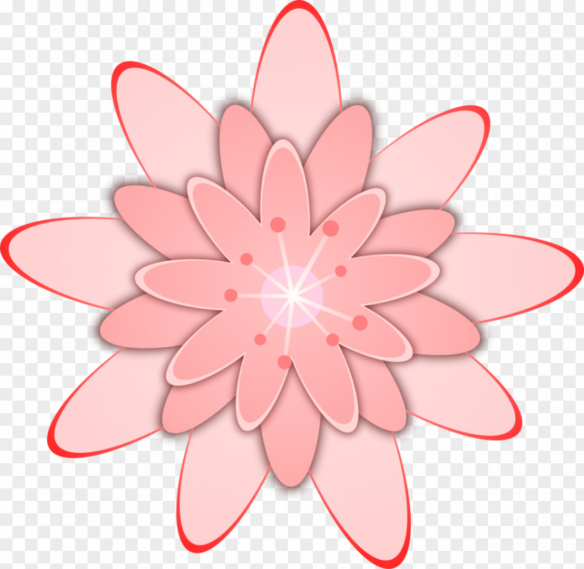 Dahlia Pink Flowers Clip Art PNG