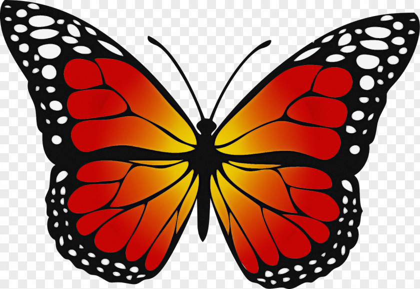 Monarch Butterfly PNG