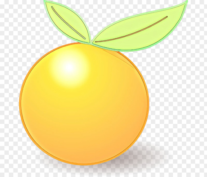 Orange PNG