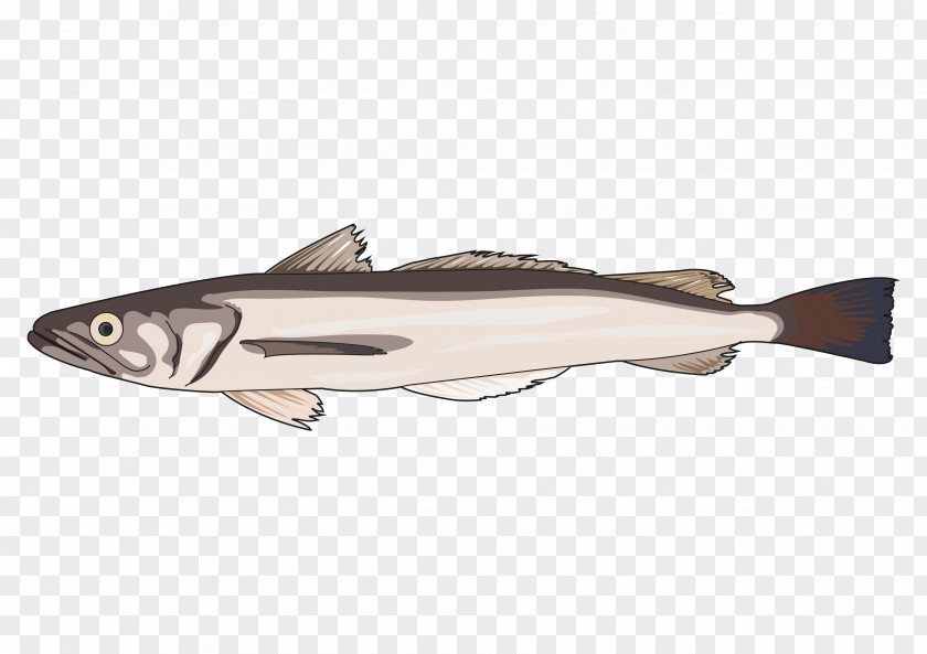 PESCADO Cod 09777 Salmon Oily Fish Milkfish PNG