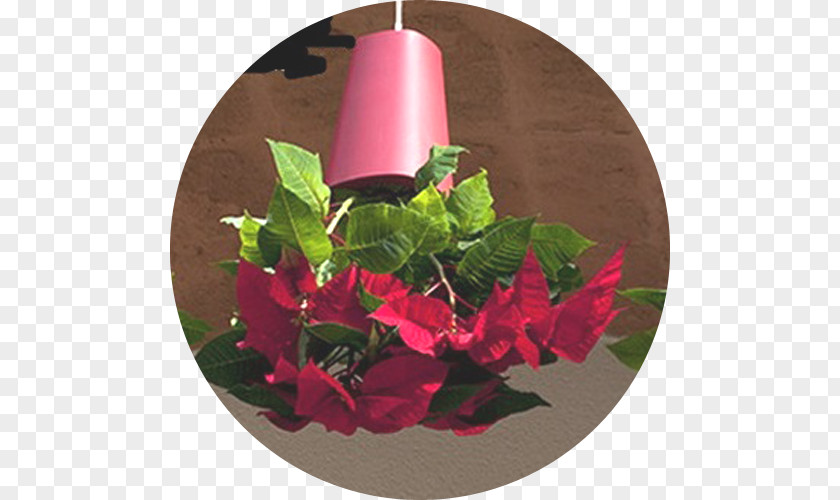 Polygon City Flyer Floral Design Flowerpot Window Box Vase Garden PNG