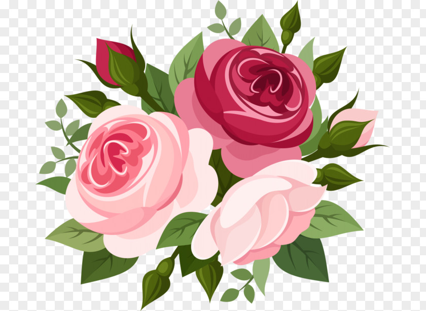 Rose Pink PNG