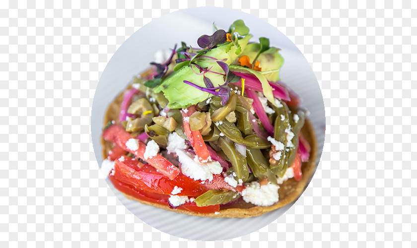 Vegetable Greek Salad Tostada Ceviche Panzanella Fattoush PNG