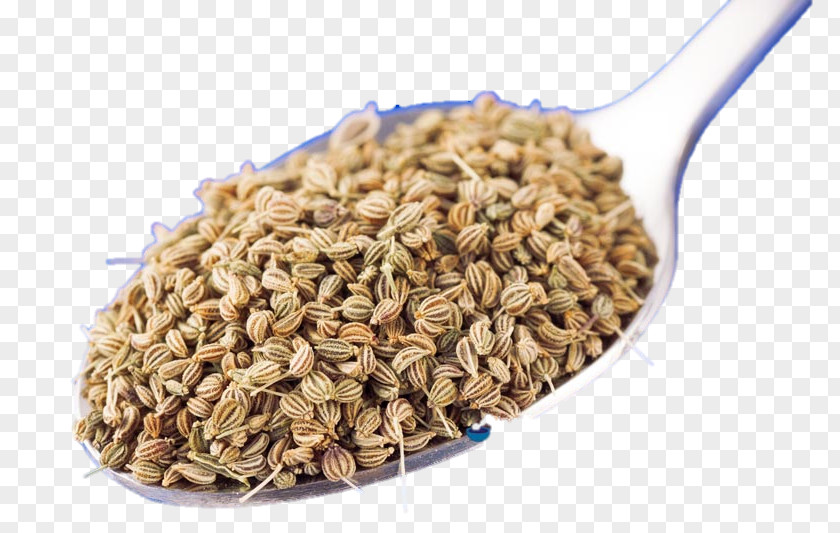Water Ajwain Oat Fennel Seed Cereal Germ PNG