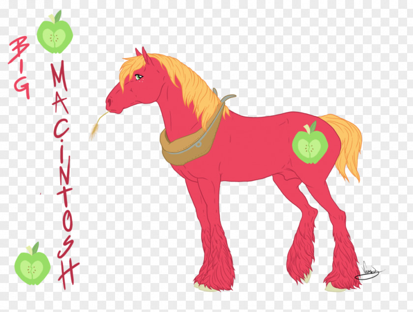 Big Mac Equestria Girls Fluttershy Pony McIntosh Applejack Rarity PNG