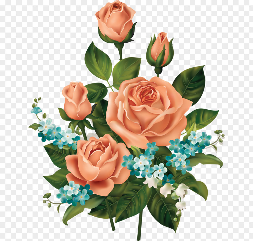 Hand-painted Rose Flower Clip Art PNG