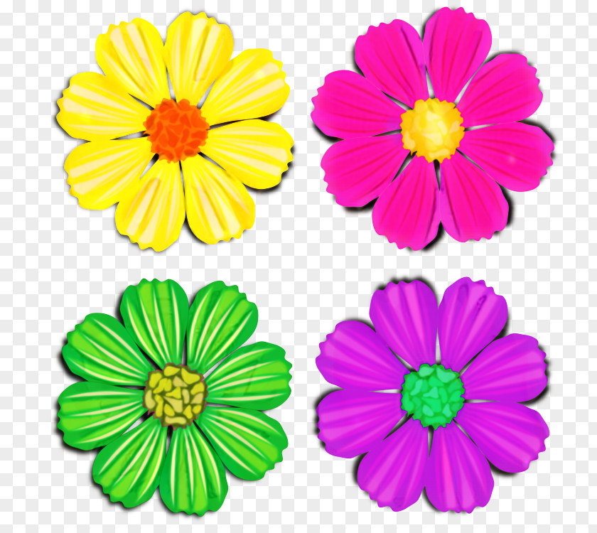Herbaceous Plant Gerbera Flowers Background PNG