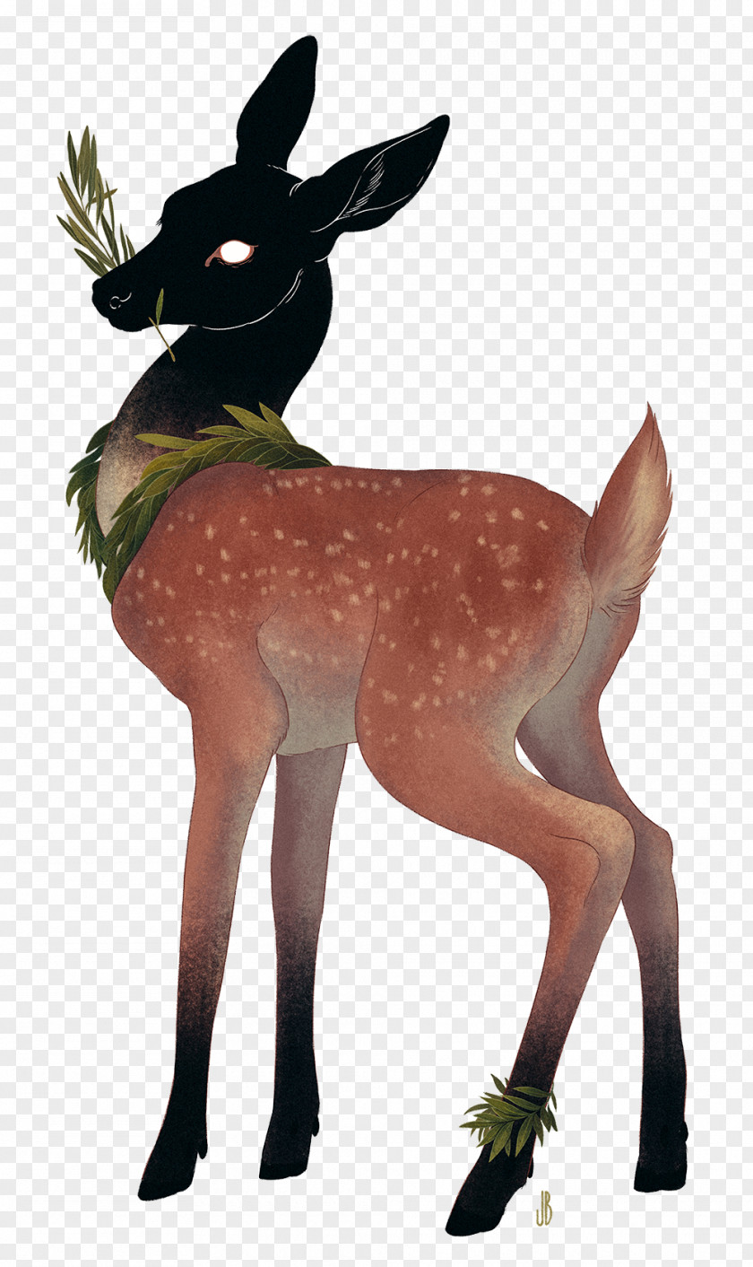 Reindeer Musk Deers Drawing PNG