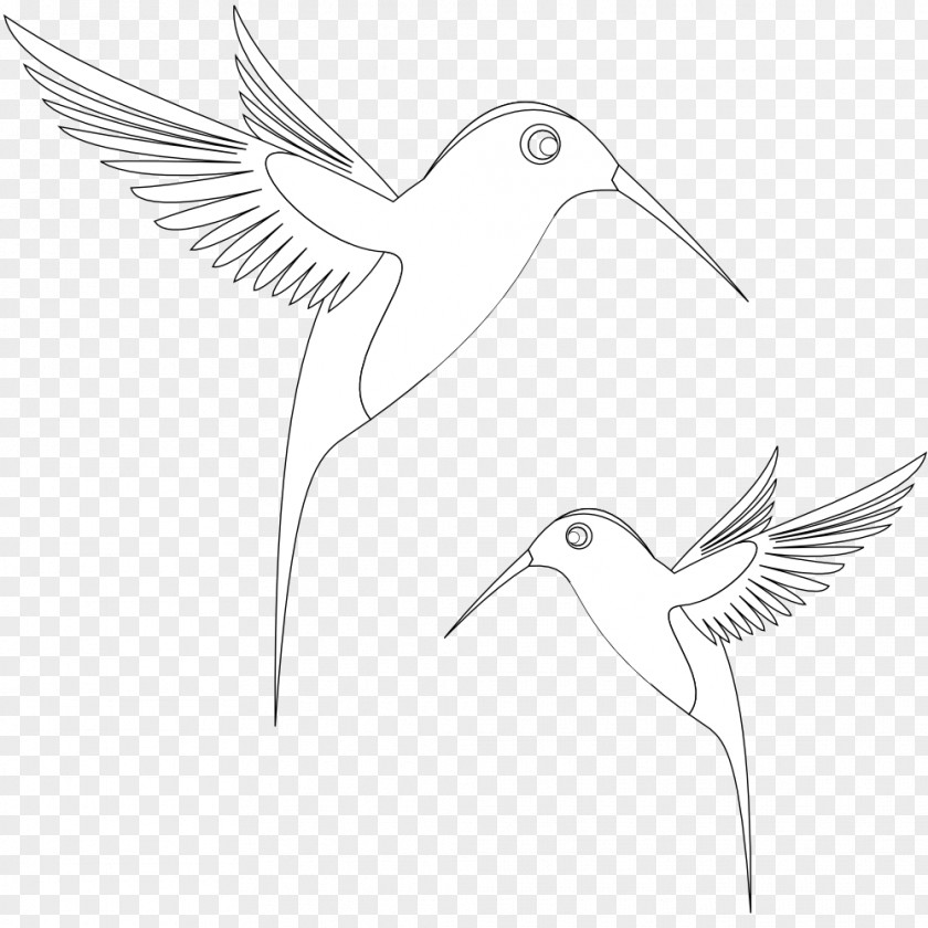 Cartoon Hummingbird Black And White Inkscape Line Art Clip PNG