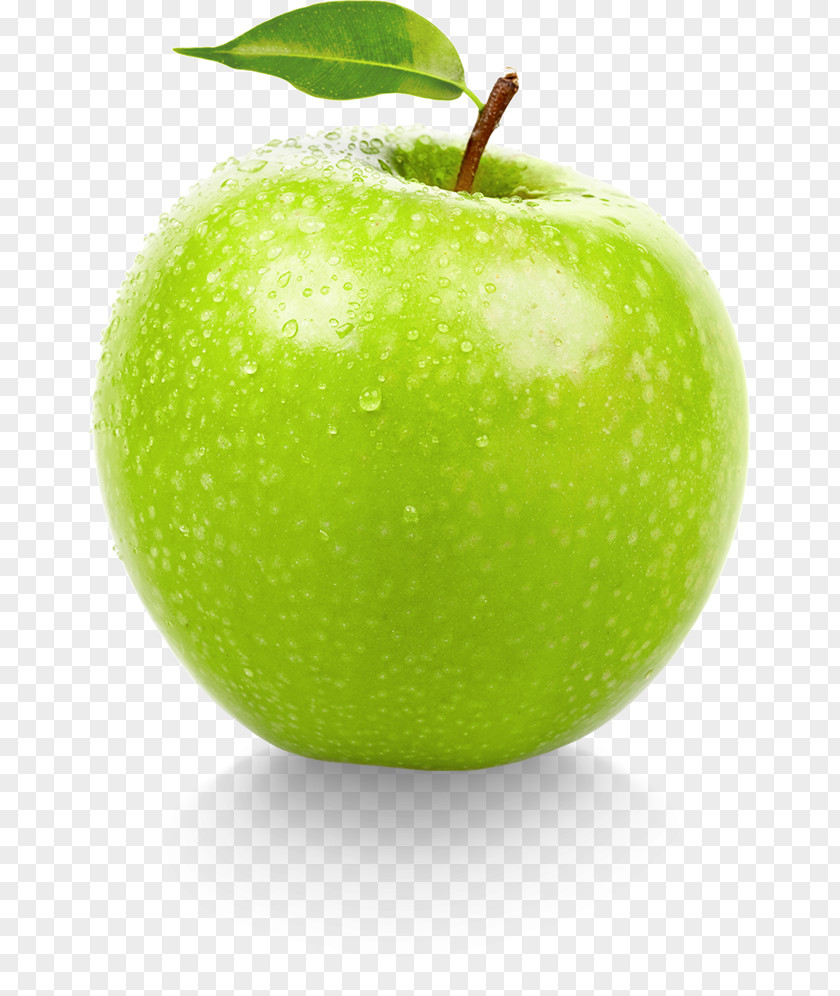 GREEN APPLE Ottawa Crisp Apple Green Granny Smith PNG