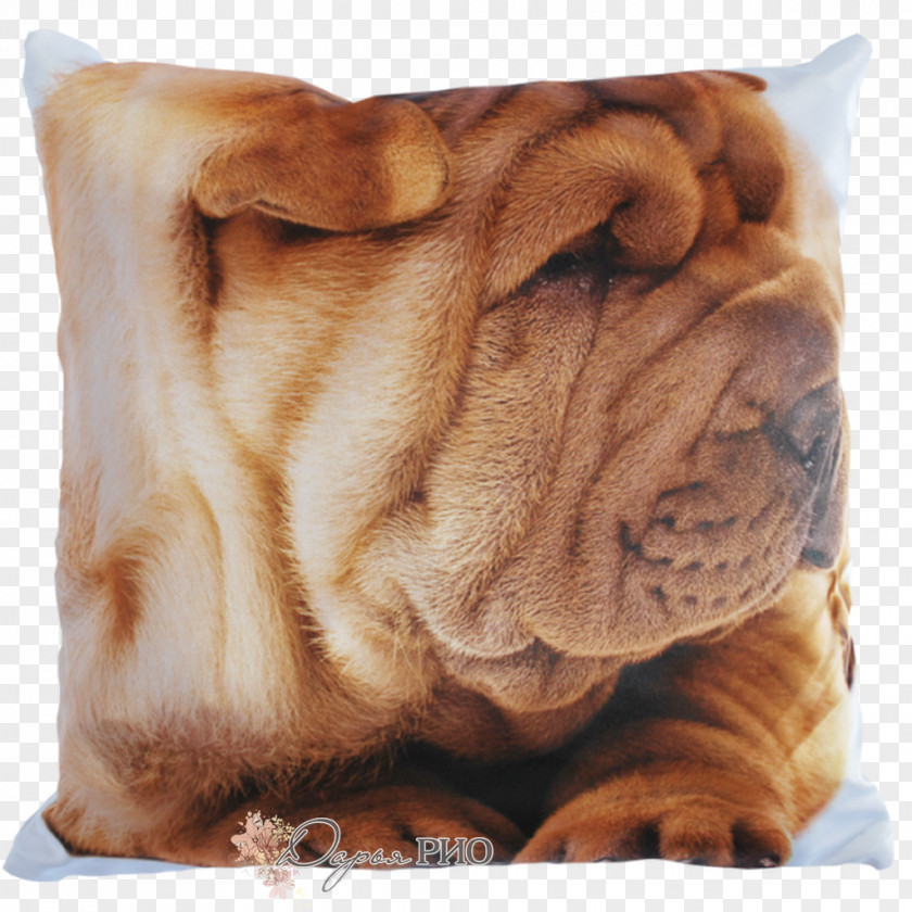 Pillow Shar Pei Ori-Pei Dog Breed Cushion PNG