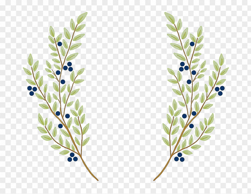 Plant Flower Grass Family Twig Delphinium PNG