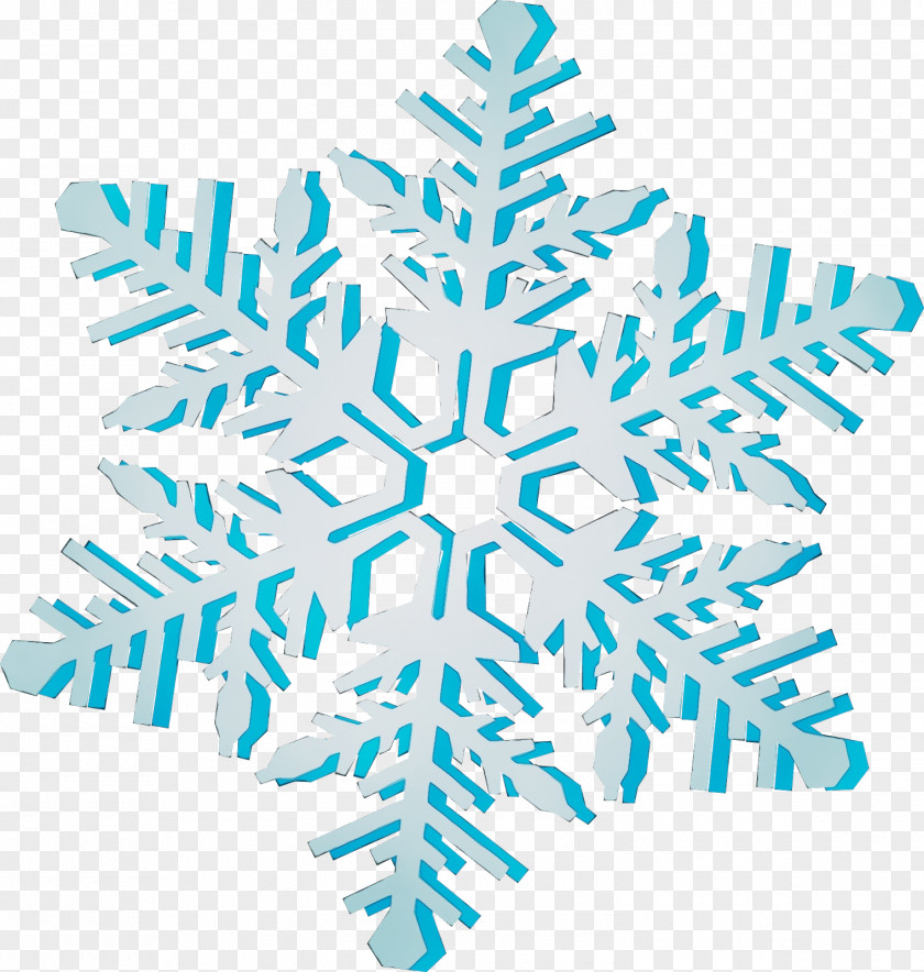 Snowflake Colorado Spruce PNG