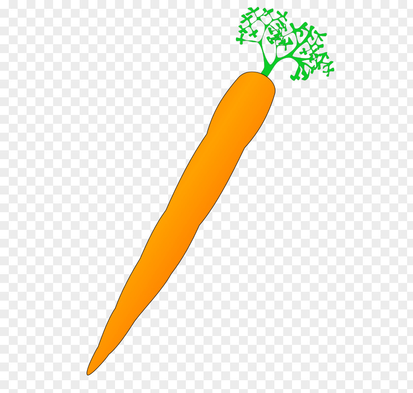 Carrot Background Cliparts Margarita Baby Clip Art PNG