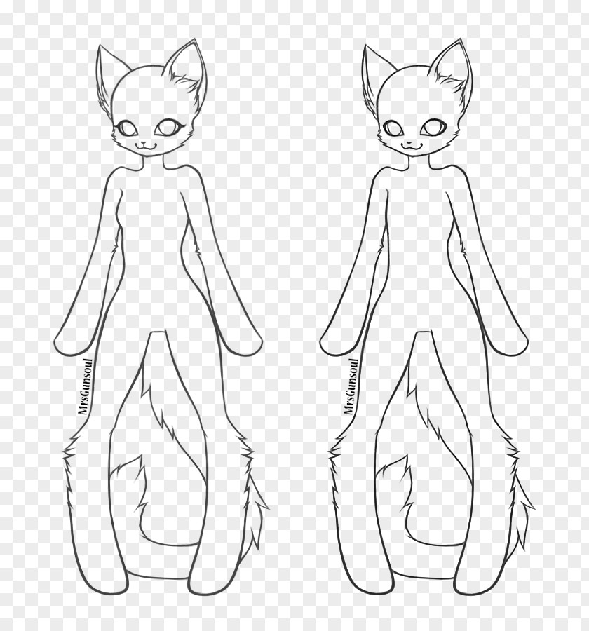 Cat Whiskers Line Art Drawing PNG