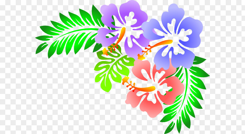 Corner Flower Drawings Floral Design Clip Art Openclipart Vector Graphics Free Content PNG