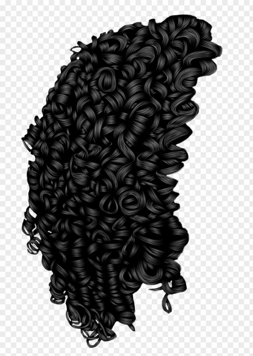 Curly Hairstyle Afro-textured Hair Wig PNG