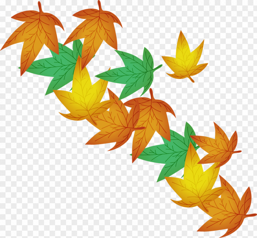 Defoliation Maple Leaf Illustration PNG