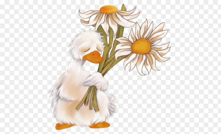 Duck Clip Art Image GIF Chicken PNG