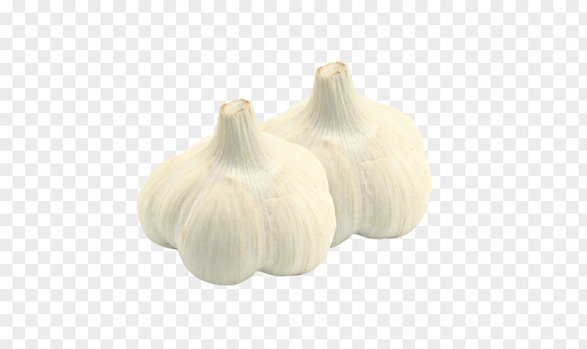 Garlic Papua Icon PNG