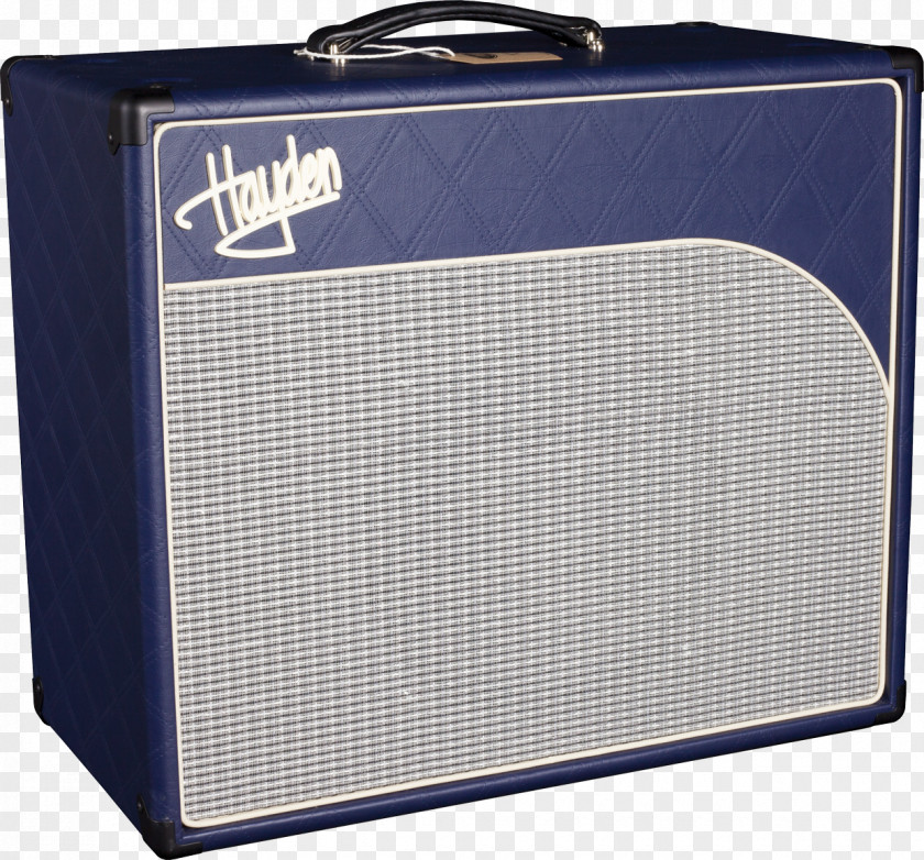 Hayden Guitar Amplifier Sound Box Electric PNG
