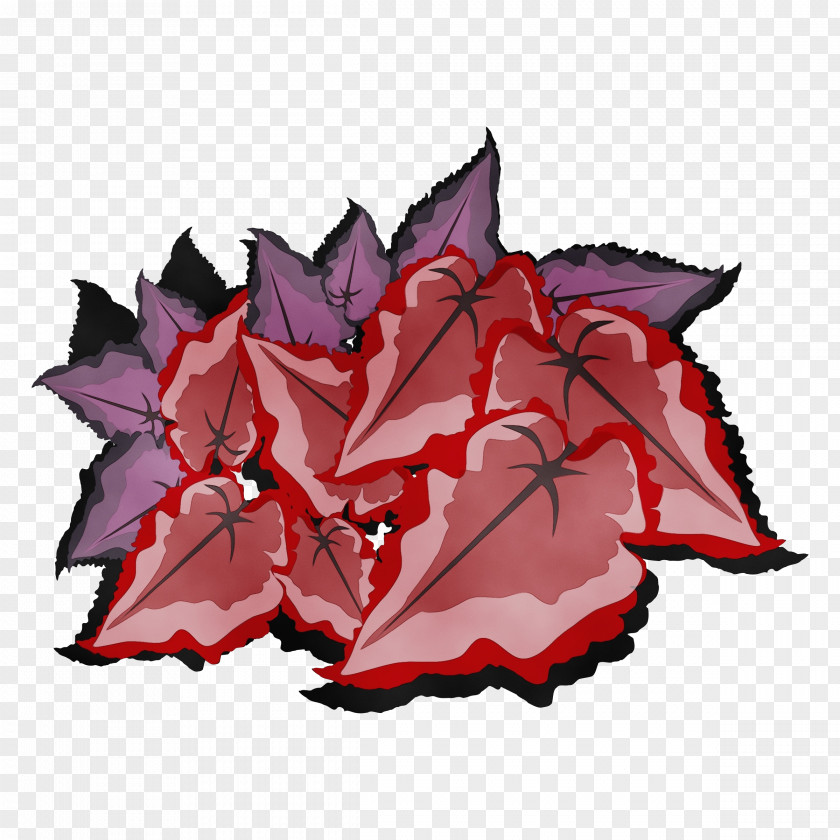 Plane Flower Maple Leaf PNG