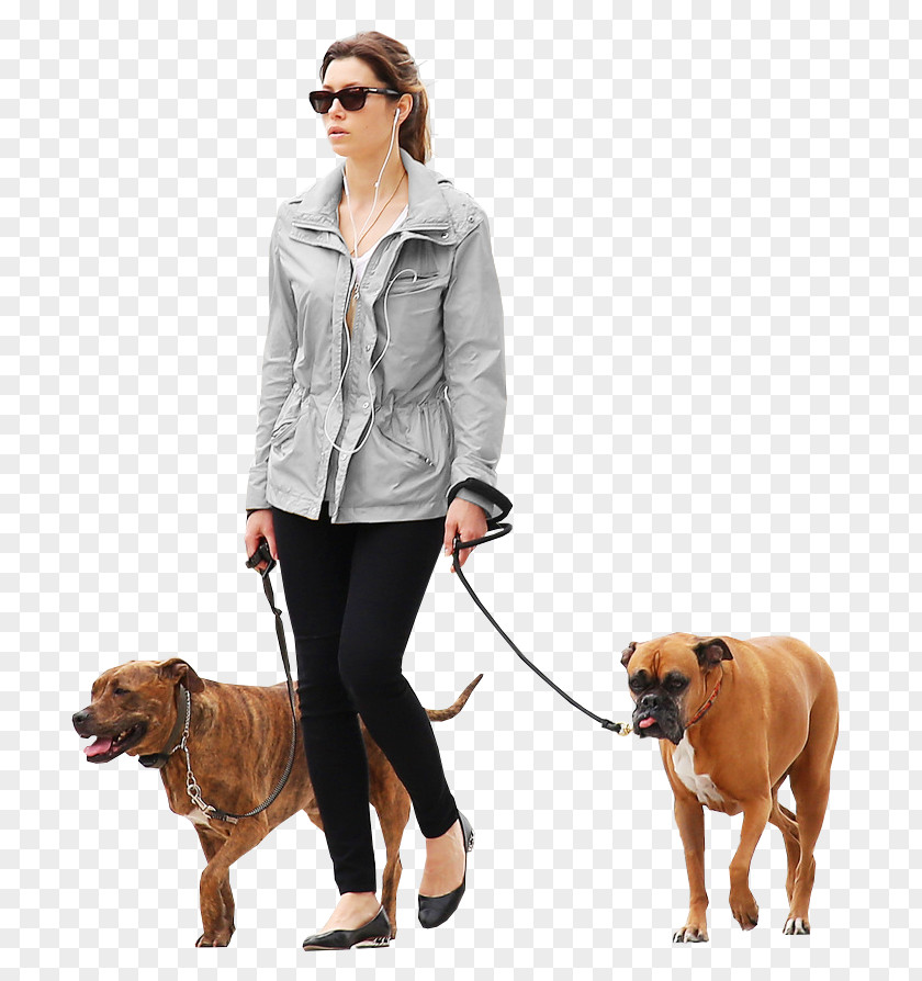 Dogs Dog Architecture Architectural Rendering PNG