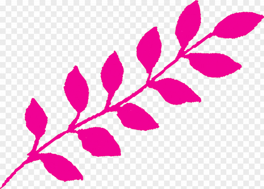 Leaf Pink Plant Pedicel Branch PNG