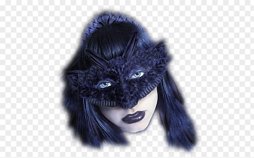 Mask Carnival Woman Whiskers PNG