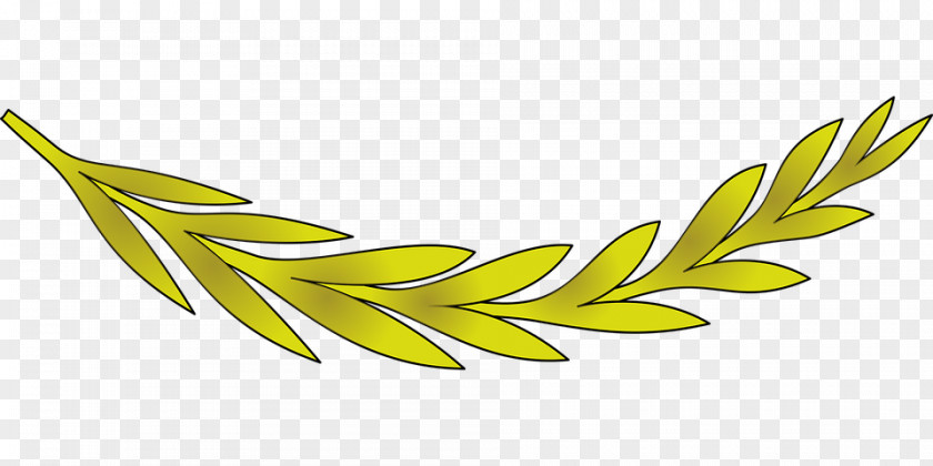 Olive Clip Art Leaf Branch PNG