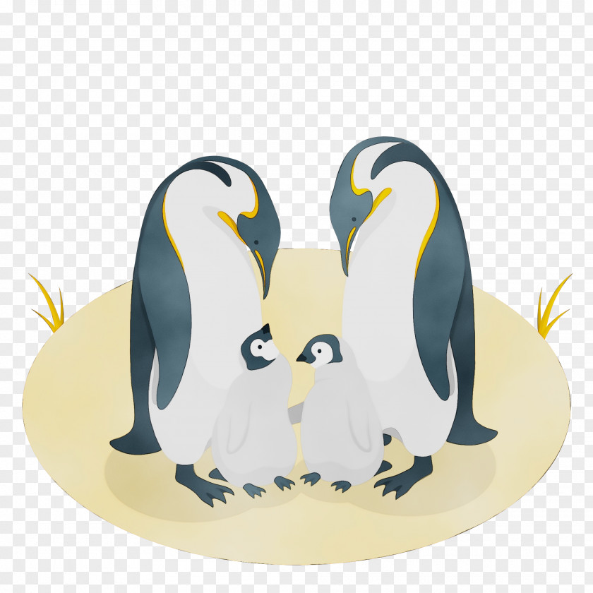 Penguins King Penguin Birds Drawing PNG