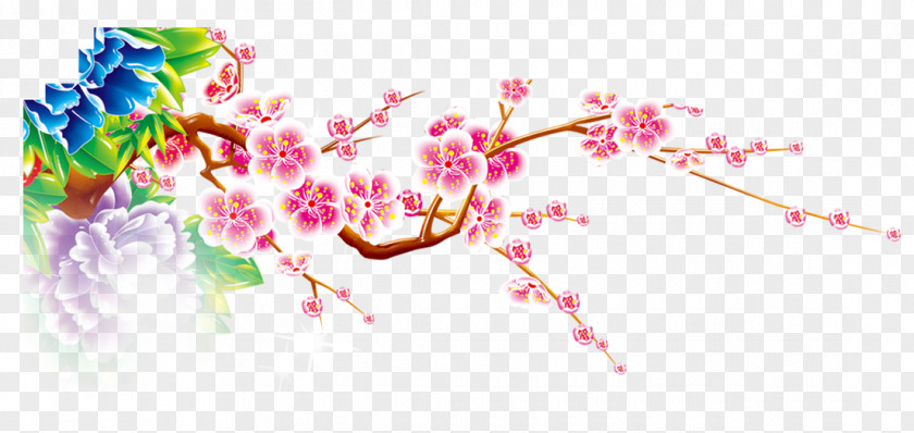 Plum Flower Taiwan PNG